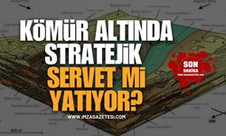 TTK Havzasında Ekonomik Tenörde Nadir Toprak Elementleri Var Mı?