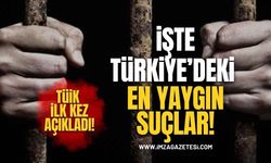 TÜİK İlk Kez Açıkladı! Türkiye’de En Yaygın Suçlar Ortaya Çıktı!