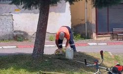 Belediyeden Bayram Temizliği!