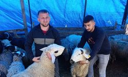 Zonguldak Büyükbaşsız Kaldı!
