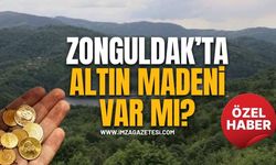 Zonguldak’ta Altın Madeni Var mı?