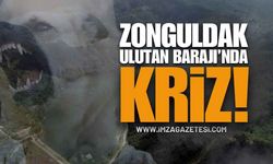 Zonguldak Ulutan Barajı'nda Köpek Krizi!
