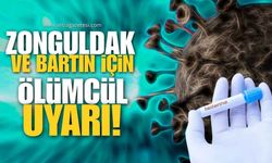 Zonguldak Ve Bartın İçin Ölümcül Uyarı! Hantavirüs Tehlikesi!