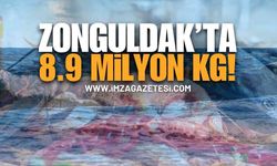 Zonguldak’ta 8.9 Milyon Kilogram Deniz Ürünü! | Zonguldak haber