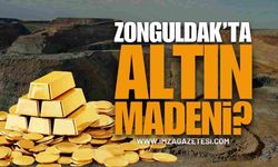 Zonguldak’ta Altın Madeni Var Mı?