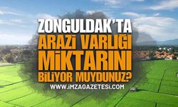Zonguldak’ta Arazi Varlığı Miktarını Biliyor Muydunuz?
