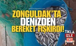 Zonguldak’ta Denizden Bereket Fışkırdı!