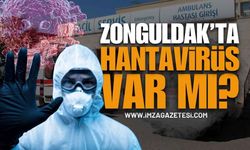 Zonguldak'ta Hantavirüs Paniği: Kentte Hantavirüs Var Mı?