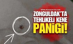 Zonguldak’ta Tehlikeli Kene Paniği!