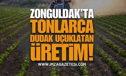 Zonguldak’ta Tonlarca Dudak Uçuklatan Üretim!
