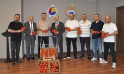 Kömürden Seraya Başarı Hikâyesi: Zonguldak’ta "Yeşil ve Adil Dönüşüm" Hasadı!