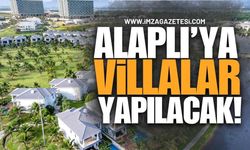 Alaplı'ya Villalar Yapılacak!