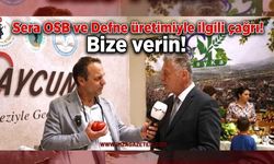 Kamitoğlu'ndan İstanbul'da Çarpıcı Çağrı: "Sera OSB ve Defneyi Bize Verin!"