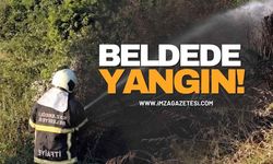 Beldedeki Yangın Kontrol Altında!
