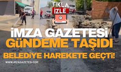 İmza Gazetesi Gündeme Taşıdı, Kozlu Belediyesi Harekete Geçti!