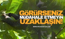 Görürseniz Müdahale Etmeyin Uzaklaşın!