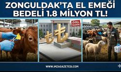 Zonguldak’ta El Emeği Bedeli 1.8 Milyon TL!