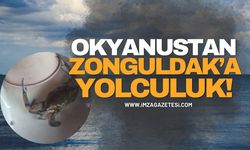 Okyanustan Zonguldak’a Yolculuk!