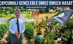 Çaycumalı Gençlerle Omuz Omuza Hasat!