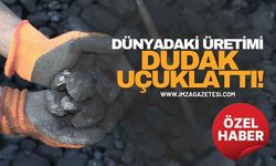 Dünyadaki Taş Kömürü Üretimi Dudak Uçuklattı!