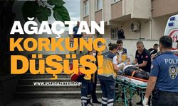 Dut Ağacından Korkunç Düşüş!
