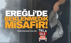 Ereğli’de Beklenmedik "Müşteri"!