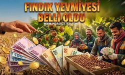 Fındık Yevmiyesi Belli Oldu!