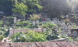 Kilimli Belediyesi’nden Anında Müdahale! Mezarlıkta Temizlik Tamamlandı