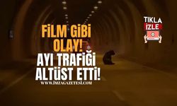 Film Gibi Olay! Karabük’te Tünele Giren Ayı Trafiği Altüst Etti!