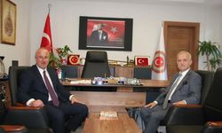 Karaveli, Vali Yardımcısı Balcı İle Çalışmaları Değerlendirdi