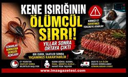 Kene Isırığının Ölümcül Sırrı! Yıllar Sonra Ortaya Çıktı!
