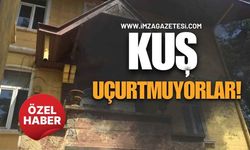 Kuş Uçurtmuyorlar!