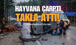 Otomobil Büyükbaş Hayvana Çarptı!