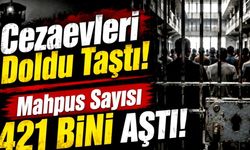 HEGEM uyarmıştı: Yılın ilk yarısında suç oranları tırmandı
