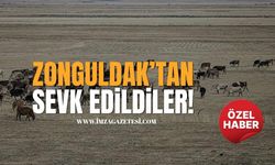 Zonguldak’tan Sevk Edildiler!