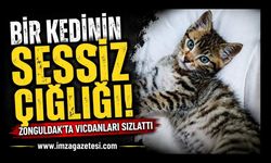 Bir Kedinin Sessiz Çığlığı! Zonguldak'ta Vicdanları Sızlattı!