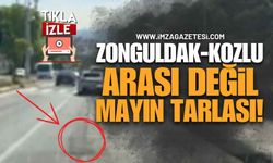 Zonguldak-Kozlu Arası Değil, Mayın Tarlası!