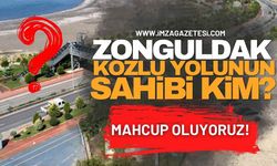 Zonguldak-Kozlu Yolunun Sahibi Kim? Mahcup Oluyoruz!