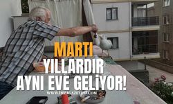 Balkonun Müdavimi Martı Yıllardır Aynı Eve Geliyor