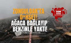Zonguldak’ta D*hşet! Husumetlisini Ağaca Bağlayarak Benzinle Yaktı!