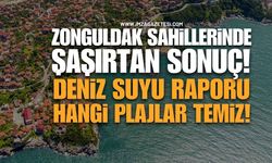 Zonguldak Sahillerinde Şaşırtan Sonuç: Bazı Plajlar “Zayıf” Çıktı!