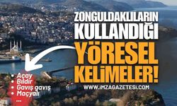 Zonguldaklıların Kullandığı Yöresel Kelimeler Nelerdir?
