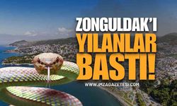 Zonguldak'ta Yılan Sayısındaki Artış Vatandaşları Korkutuyor