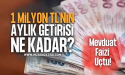 1 Milyon TL'nin 32 Günlük Mevduat Faizi Uçtu! Yüzde 47 Rekoru: İşte Banka Banka Güncel Getiri Hesaplaması