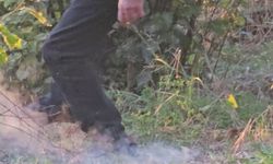 Zonguldak'ta fındık bahçesindeki yangına ilginç müdahale!