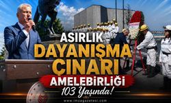 Asırlık Dayanışma Çınarı Amelebirliği 103 Yaşında: Zonguldak'ta Görkemli Kutlama