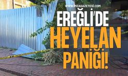 Ereğli'de Heyelan Paniği!