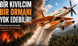 Zonguldak’tan Yüksek Yangın Riskine Dikkat Duyurusu!