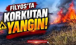 Filyos’ta Korkutan Yangın!