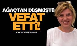 Ağaçtan düşmüştü vefat etti!